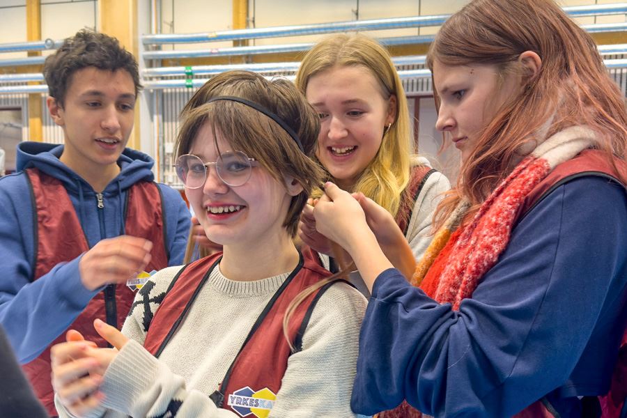 Jacob Holmen, Nora Mellwing Linderlöf, Elvira Lönn och Wilja Stråle Lundin, klass 8D, Nannaskolan.
