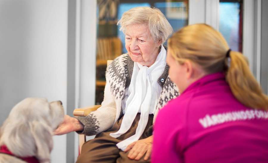 En äldre kvinna klappar på en hund, bredvid sitter en kvinna som arbetar inom vård- och omsorgsförvaltningen.