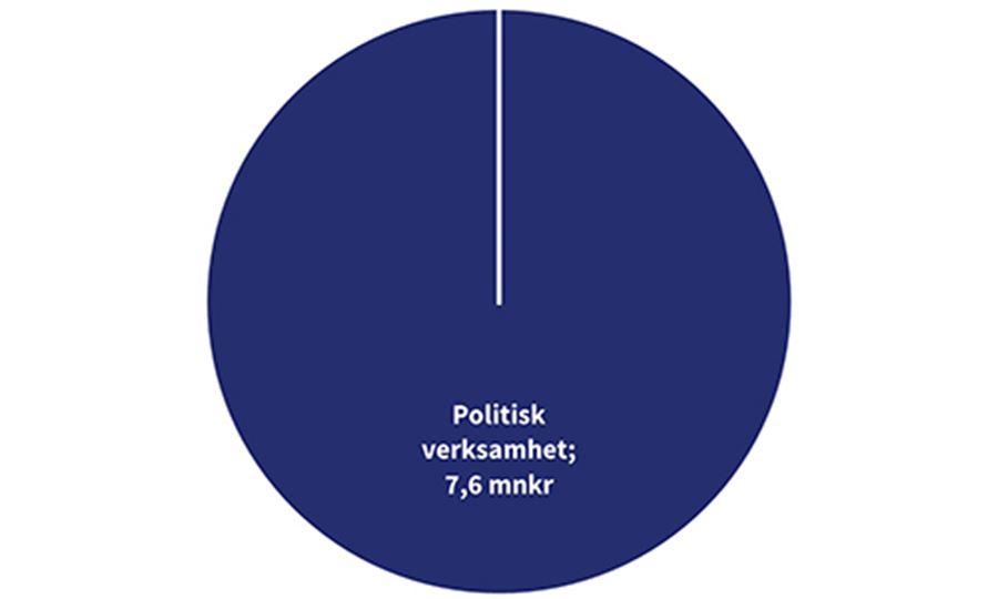 Cirkeldiagram Kommunrevisionen 2024