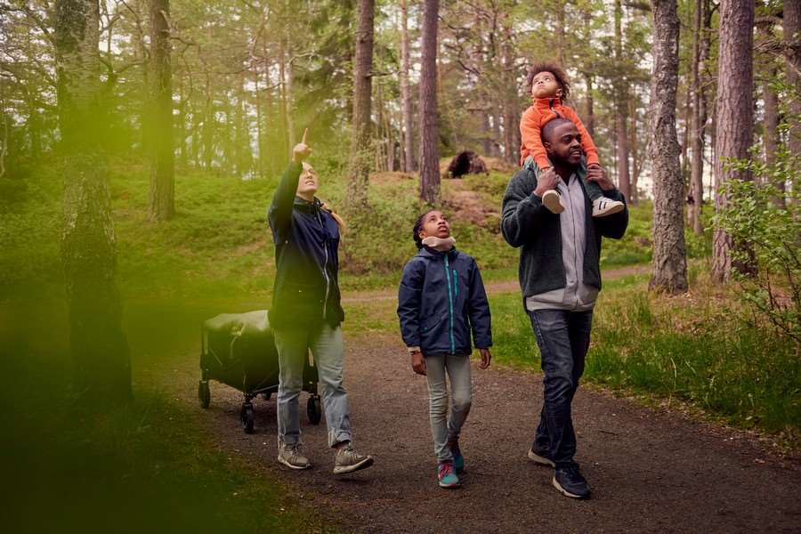 Personer promenerar och pekar i skogen