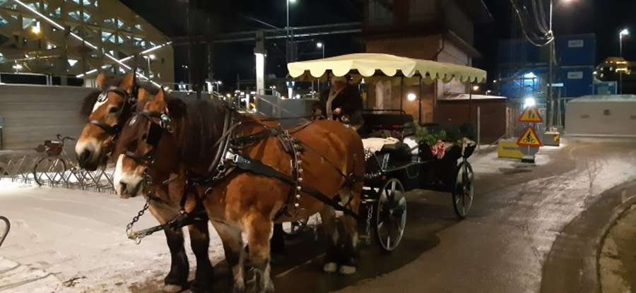 Hästskjuts med kusk, två hästar och vagn