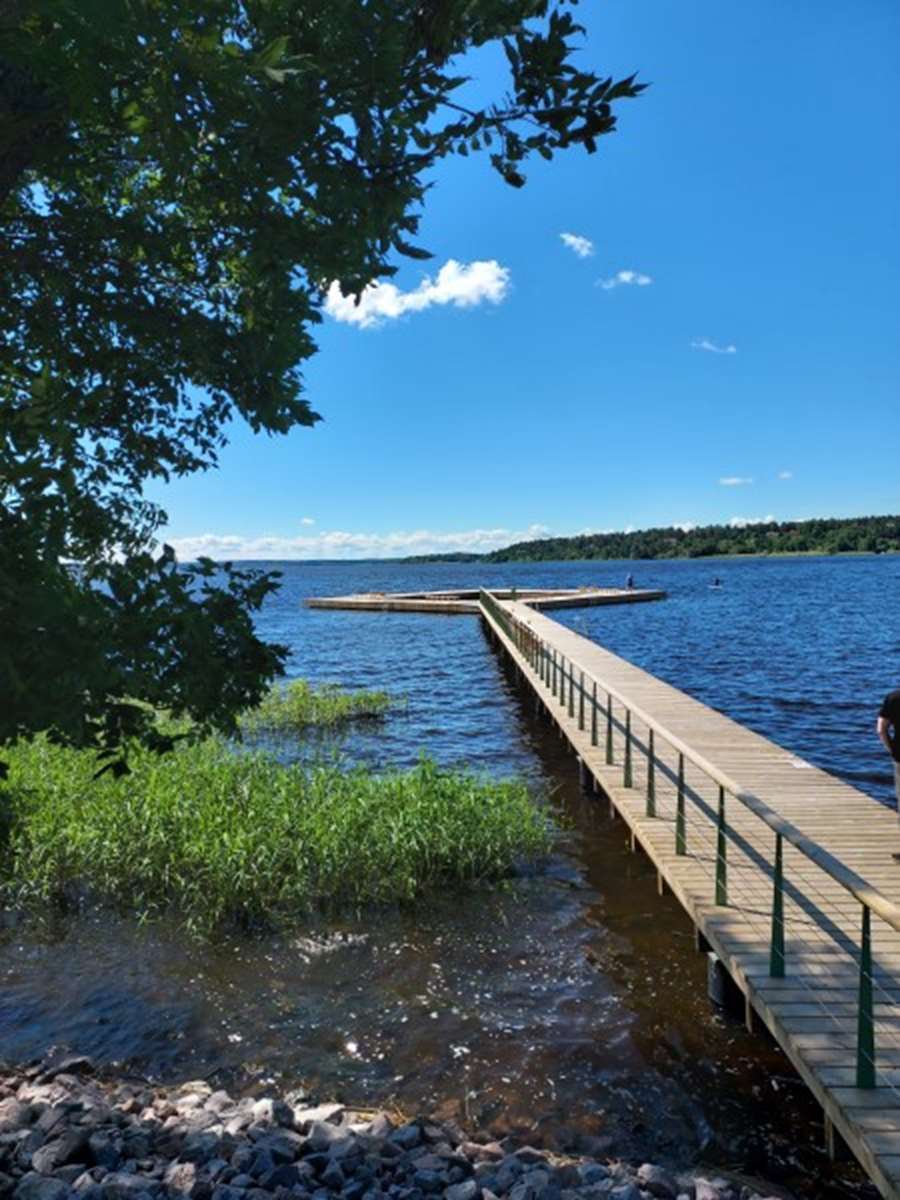Bryggan i Skarholmen är ca 100 meter lång. Här syns den med ett träd i förgrunden.