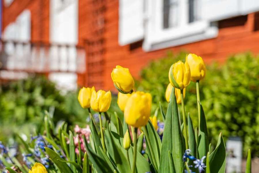Coronaviruset har haft stor inverkan på hela samhället. Sommarpresenten förväntas ge en positiv effekt på det lokala näringslivet.
