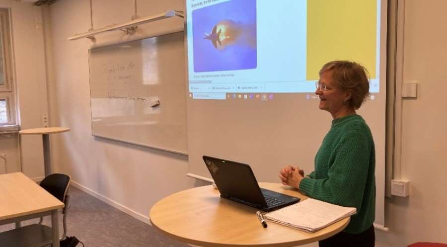 Kvinna håller i en lektion