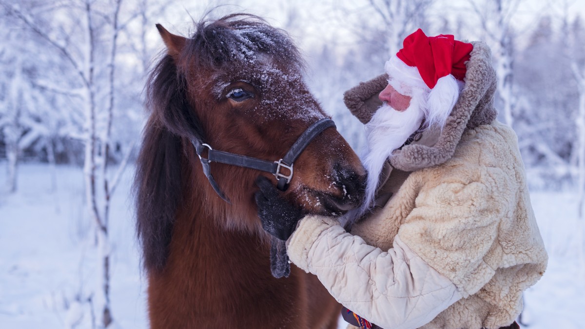 En brun häst och en tomte med röd luva i ett vintrigt landskap.