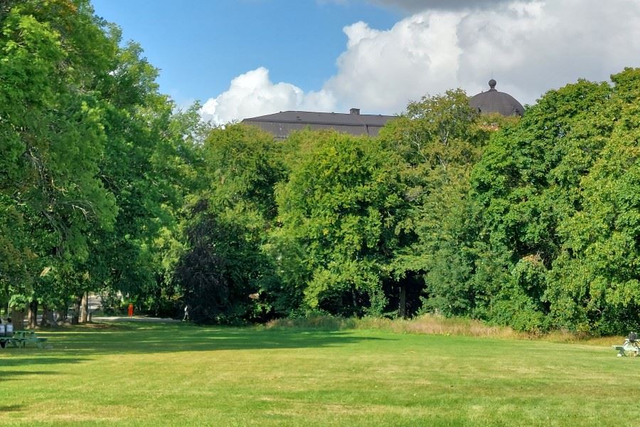 Tornerparken i Uppsala