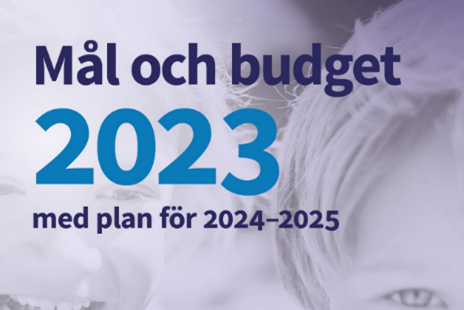 Mål och budget bild