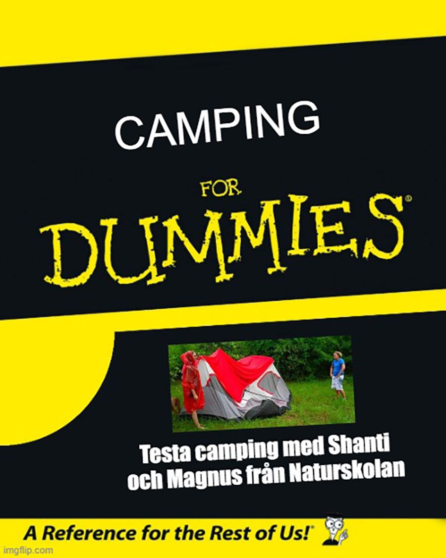 Camping for Dummies.jpg