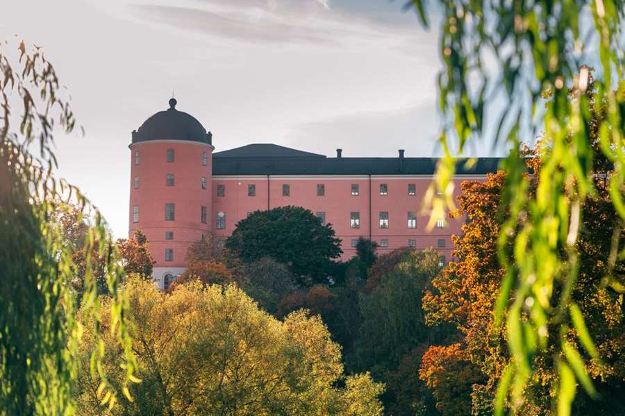 På grund av den rådande pandemin stänger nu Uppsala konstmuseum, Biotopia och Reginateatern tillfälligt. Museet kommer under perioden att erbjuda digitala upplevelser, livesändningar och aktiviteter som kan genomföras ute eller i det egna hemmet.