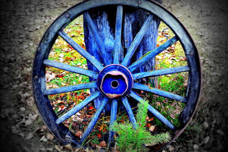 Trähjul i blått lutat mot en stubbe