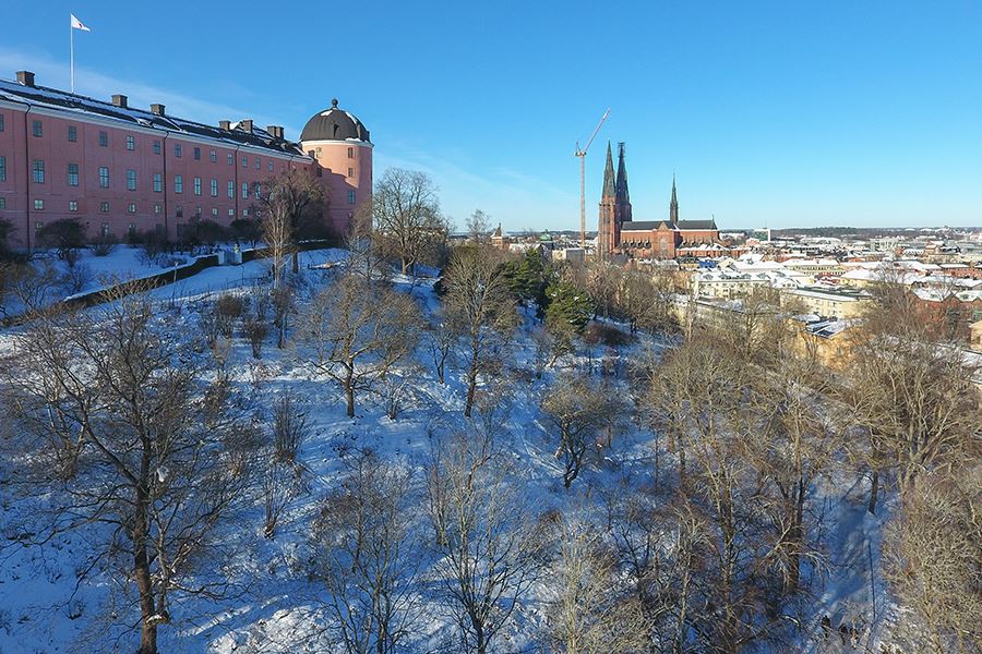 Visionsbild Uppsala konstmuseum. Uppsala slott med Domkyrkan i fonden, fotografi