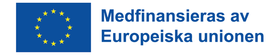 EU-logga och texten Medfinansieras av Europeiska Unionen