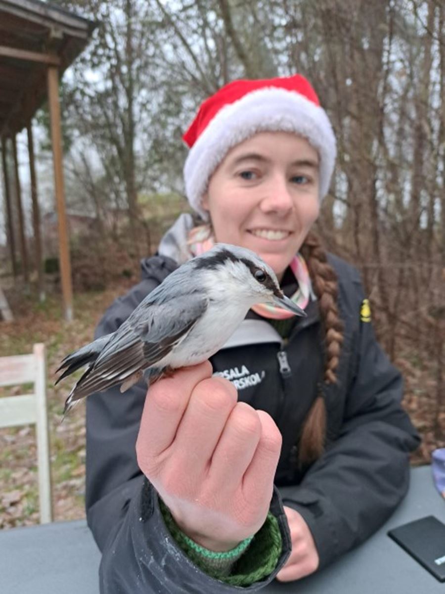 Frida med n&ouml;tv&auml;cka.jpg