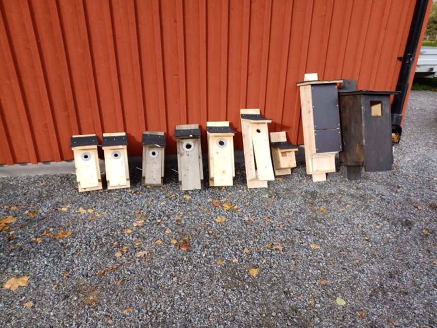 Fågelholkar på marken i rad