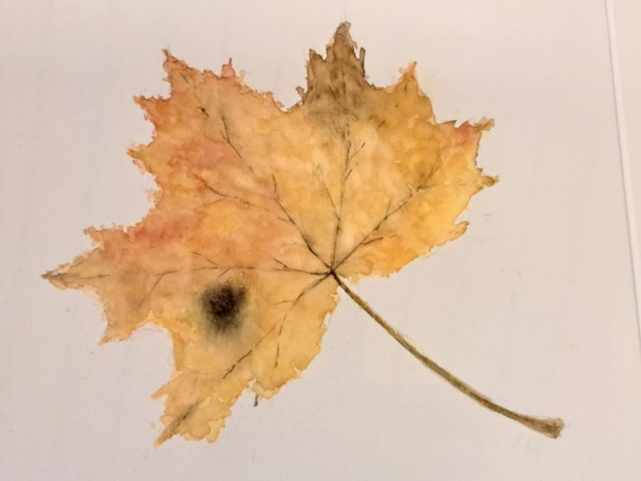 Akvarellmålning i höstmotiv