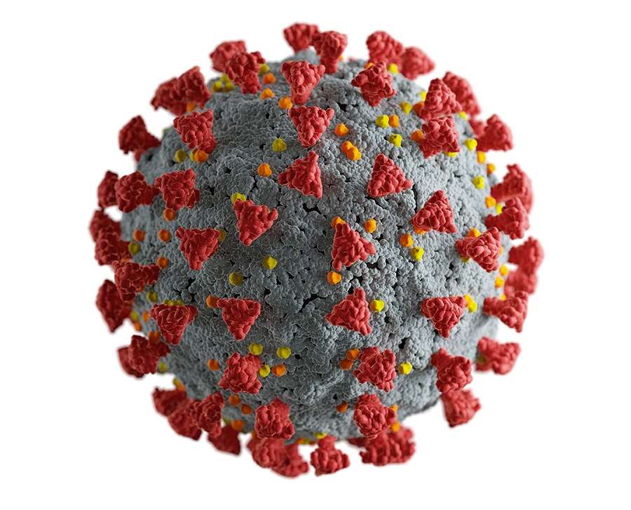 Coronavirus, grafisk bild.