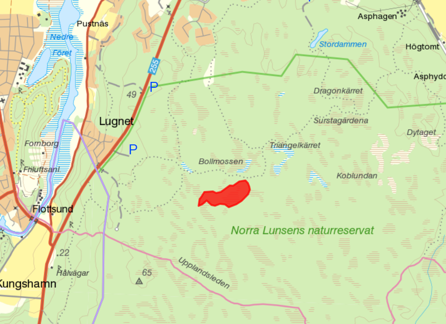 Karta över brandområdet i Norra Lunsen