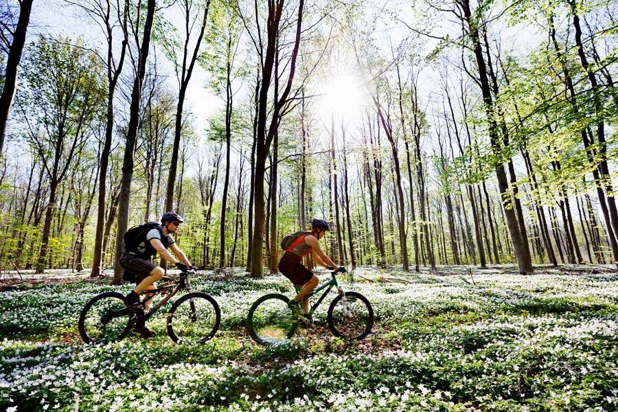 Ett par personer som cyklar i terräng en sommardag