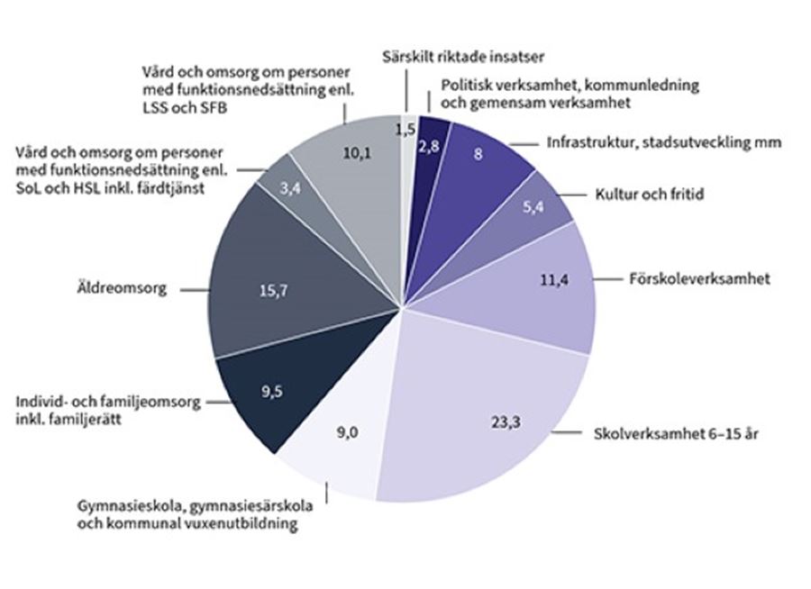Cirkeldiagram ekonomiska förutsättningar_2