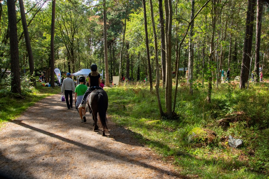 Stadsskogens dag i Uppsala