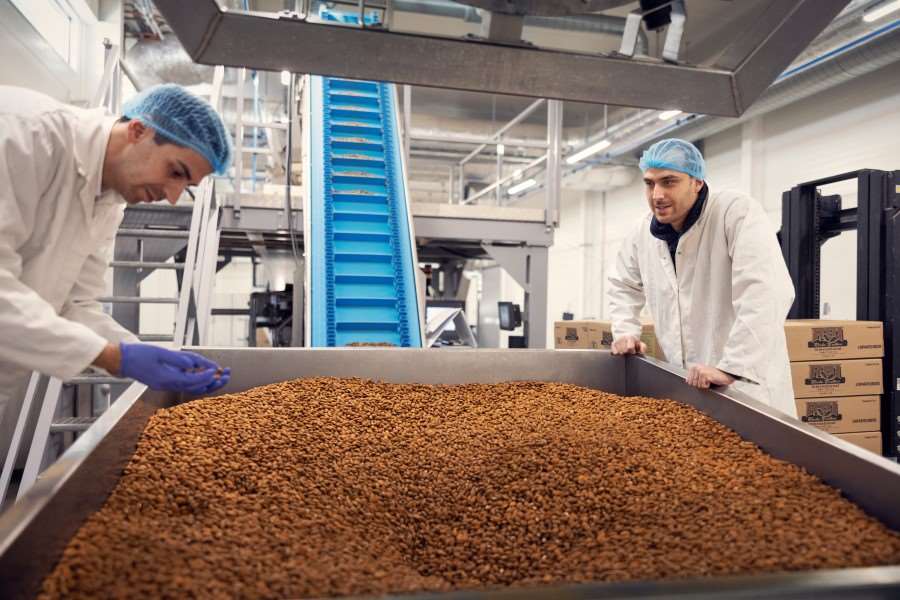 David och Jonas Orang på Famora Foods sorterar rostade mandlar i tillverkningen..jpg