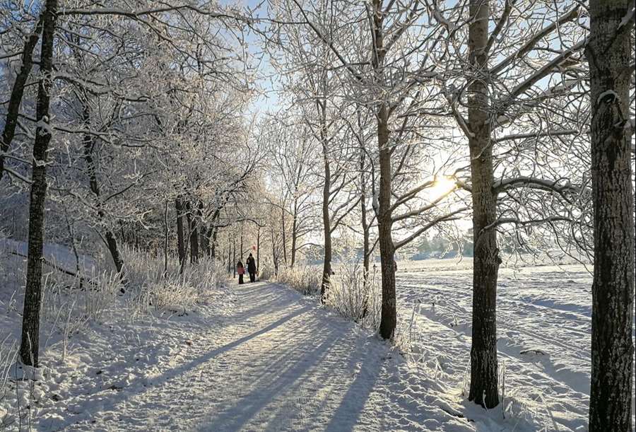 Som naturreservat kan Stabbyskogen fortsätta att bevara och varsamt utveckla det unika landskapet samtidigt som det öppnar upp för fler att uppleva natur, friluftsliv och lärande – idag och för framtiden. Foto: Jim Elfström.