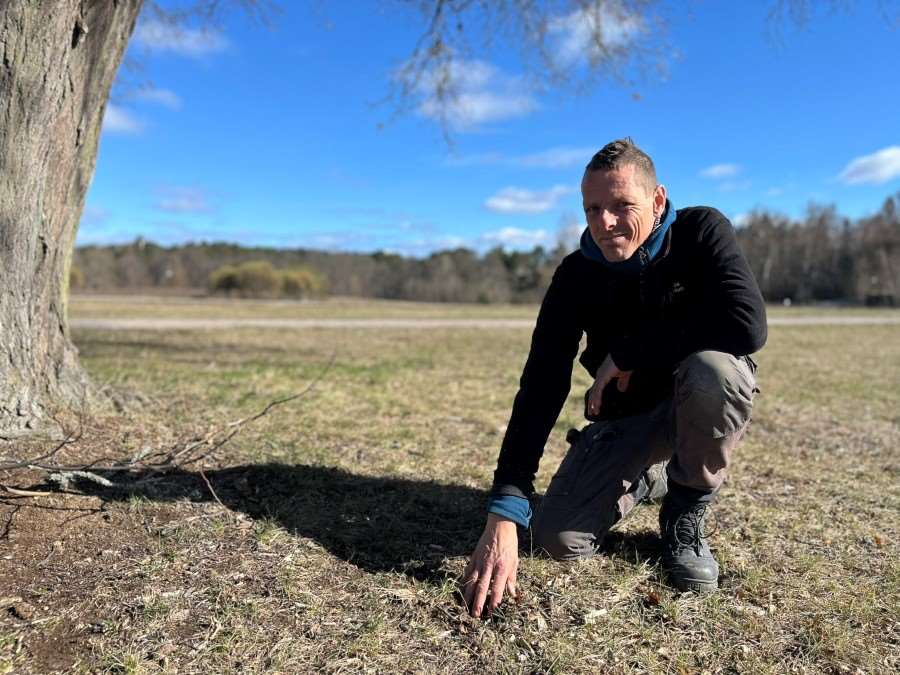 Jochen Schreiber, naturvårdsförvaltare i Uppsala kommun känner med handen på marken påPolacksbacken