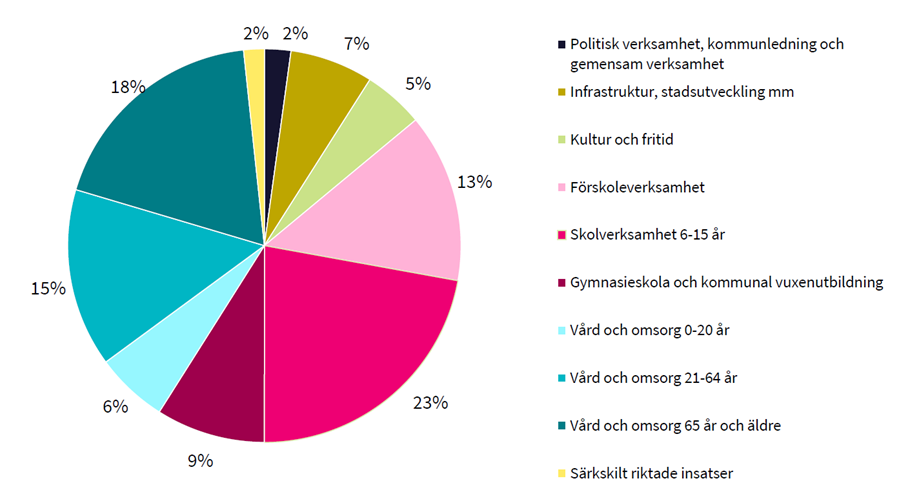 Figur 2. Fördelning av den ekonomiska ramen för 2019.