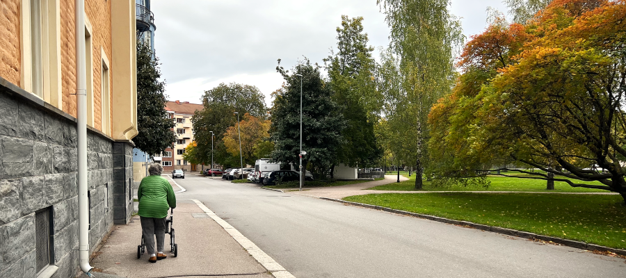 Dam promenerar