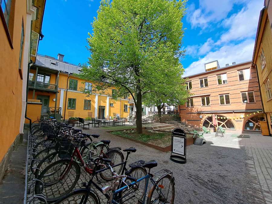 Humlegården vid Stadsbibliotekets innergård