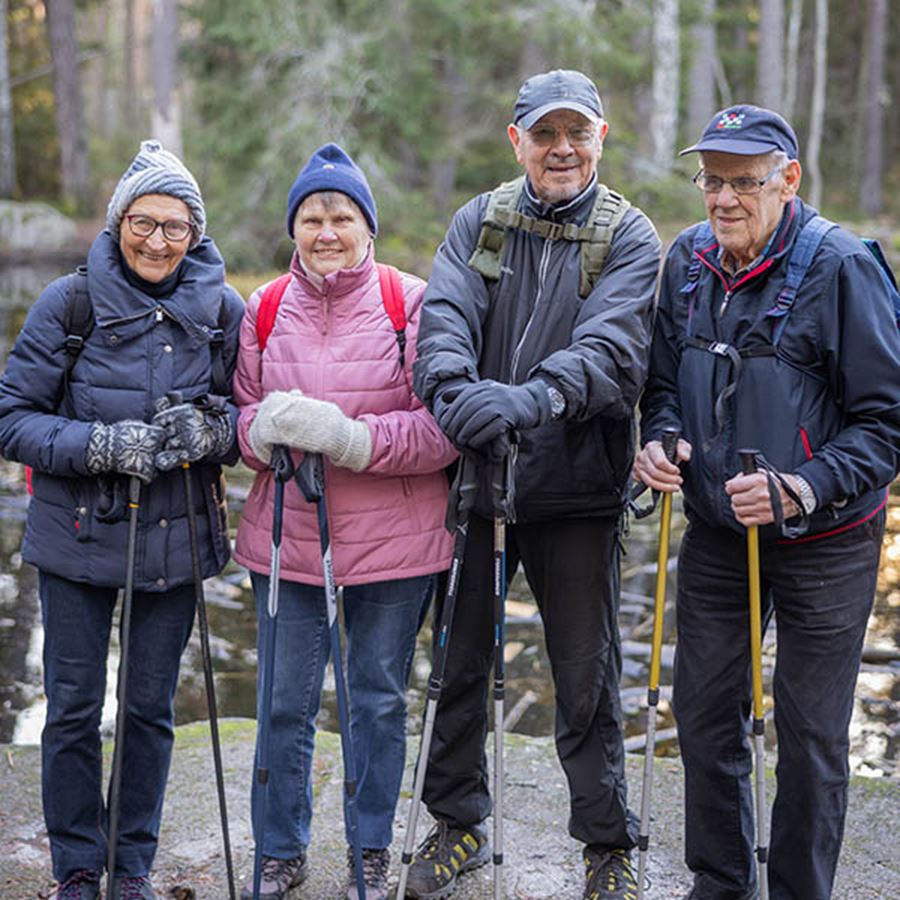 Fyra pensionärer i skogen