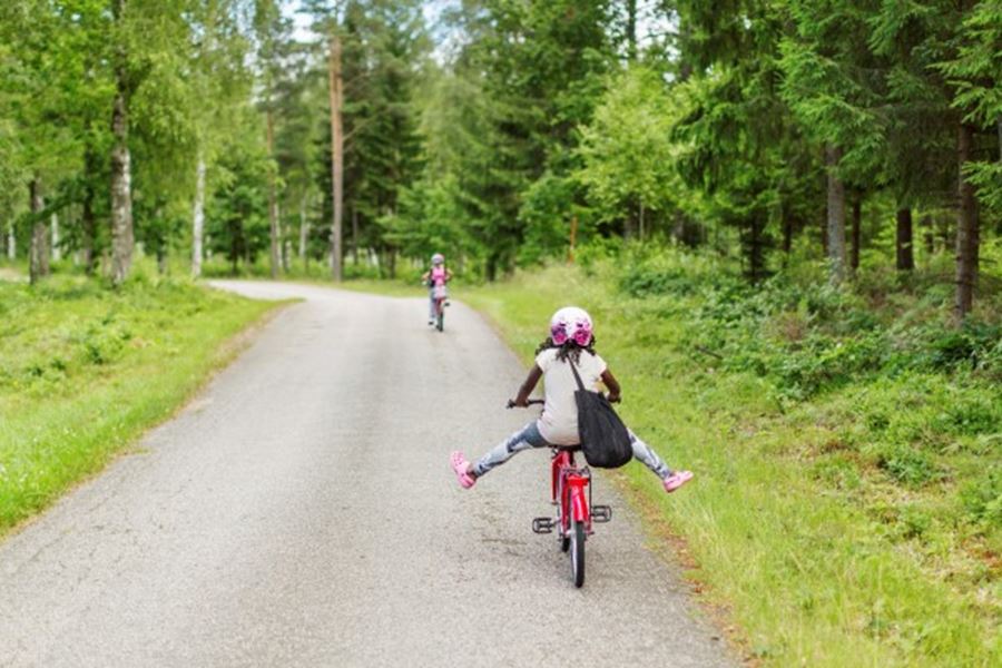  scandinav_zyzt 1-600x400px.jpg