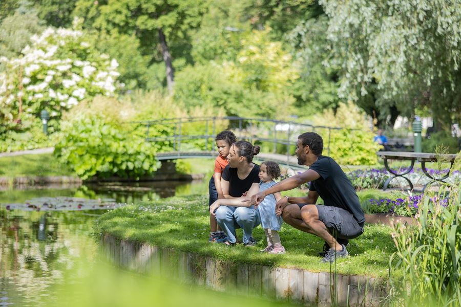 Personer står i en park och tittar på grönskande blommor
