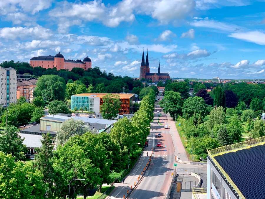 Utsikt över Uppsala med slottet, domkyrkans spiror och grön stadsmiljö.