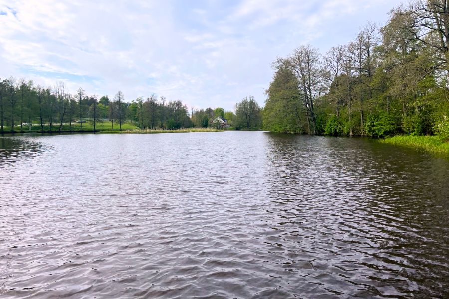 Bild på en insjö