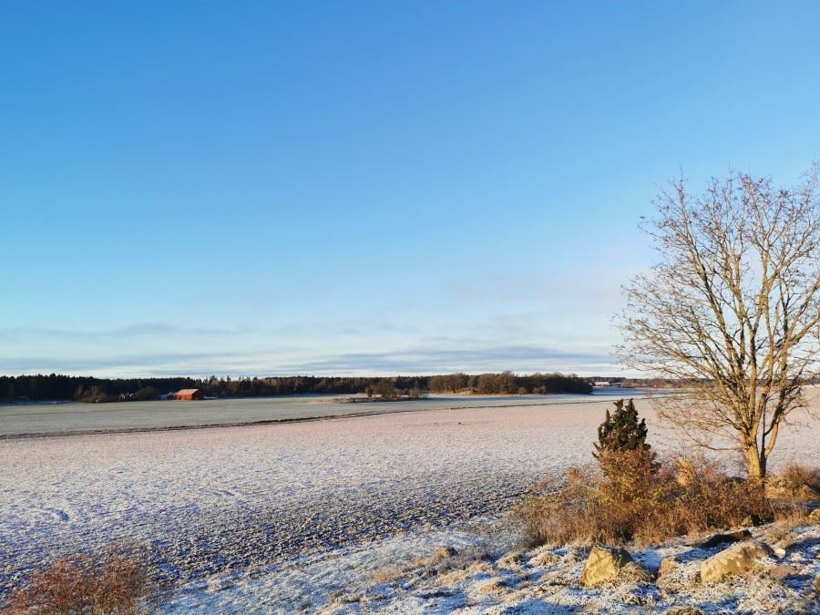 Rasbo, Yresta - jordbruksmark och naturreservat - foto Lisa Bj&ouml;rk