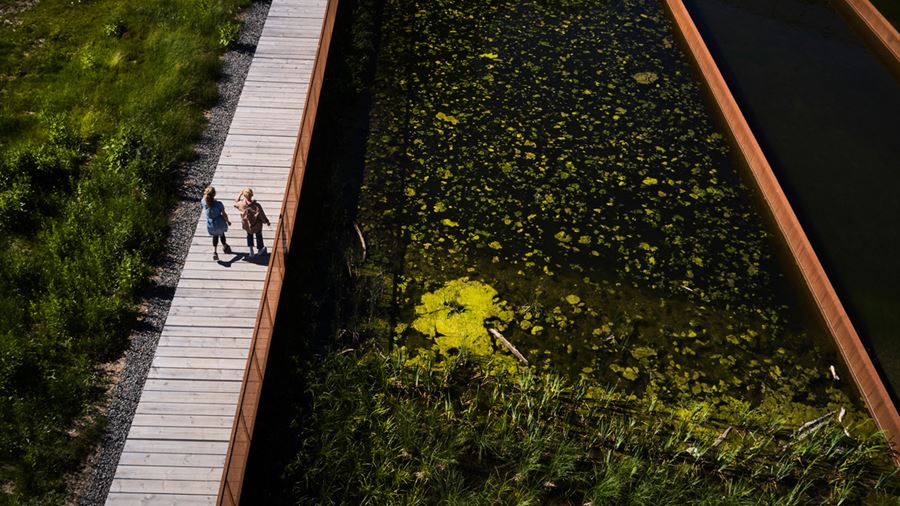 Två personer som promenerar på bryggan runt dagvattendammen.