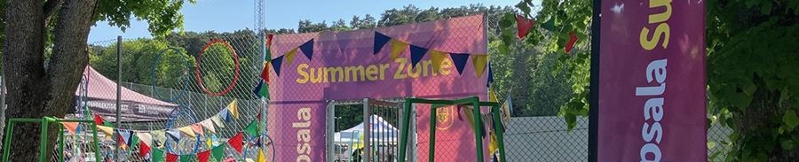 Summer Zones entré