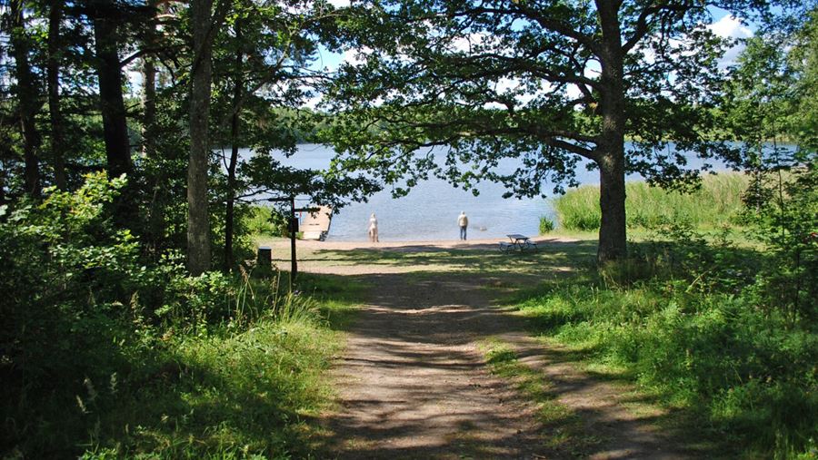 Två personer står vid strandkanten vid Fjällnora hundbad. Hundarna är i vattnet.