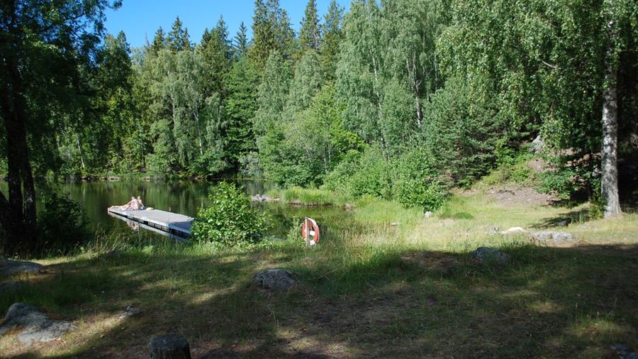 Några personer sitter på bryggan vid Fjällnora naturistbad.