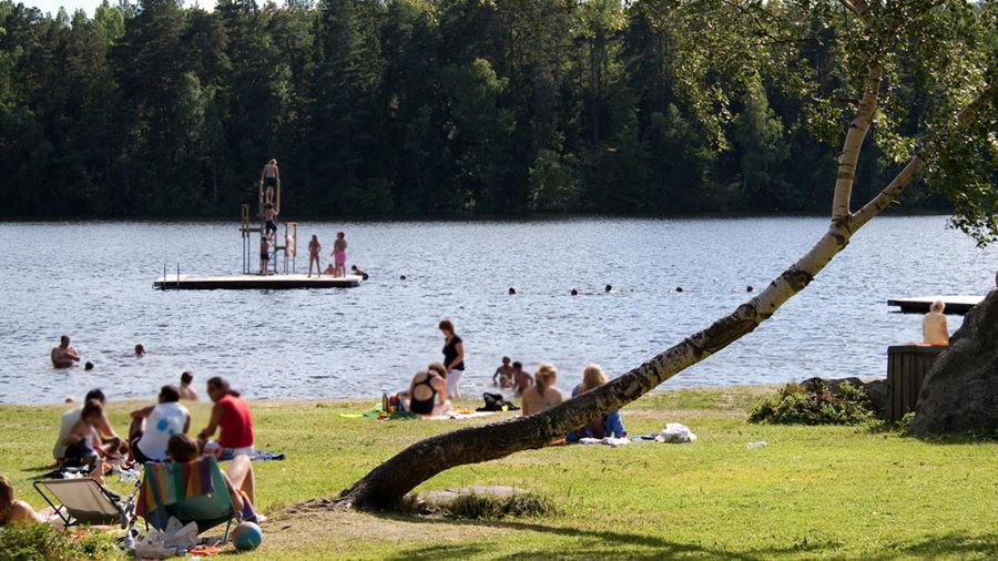 Ett flertal personer sitter gruppvis på gräsmattan eller badar från stranden eller flytbryggan vid Fjällnorabadet.