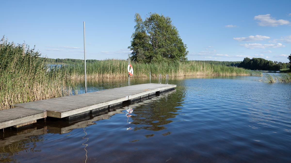 En brygga och vass vid Hosjöbadet.
