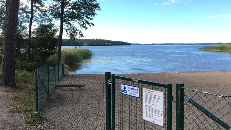 Entrégrinden in till hundbadet med en skylt som talar om att hundar får bada här. Det finns även en skylt som talar om vilka regler som gäler för de som nyttjar hundbadet.