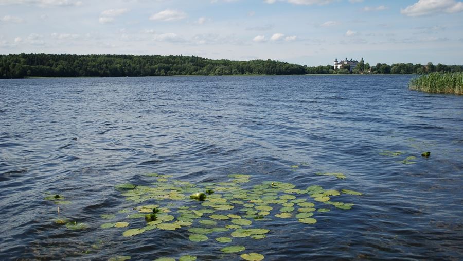 Vattnet vid Pilsbo badplats. På andra sidan syns Skokloster slott.