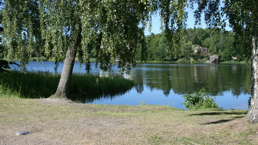 Gräsmatta framför Vårdsätrabadet. Vass i vattnet.