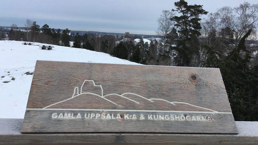 Gamla Uppsalastråket på vintern