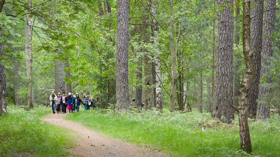 Gula stigens naturreservat