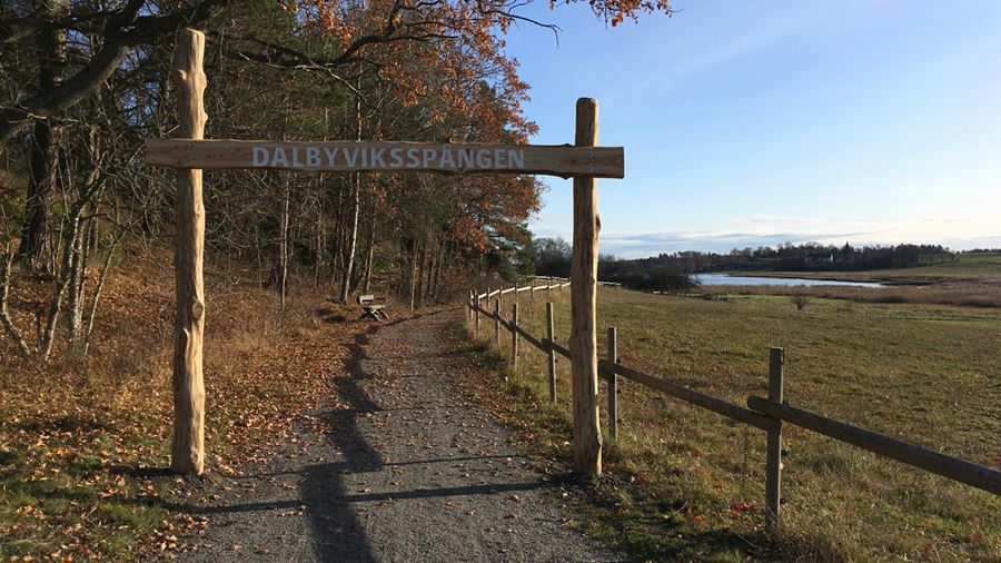 Grusad gångbana med en skylt i trä som det står Dalbyviksspången på. Stora gräsytor till höger om grusgången och skog till vänster. Långt fram skymtar en sjö.