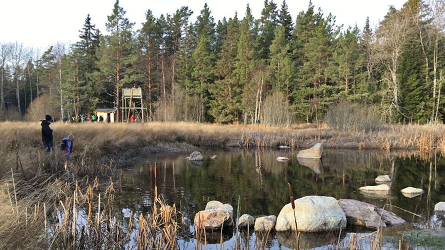 Ett kärr med stenar och gräs samt ett utsiktstorn i bakgrunden.
