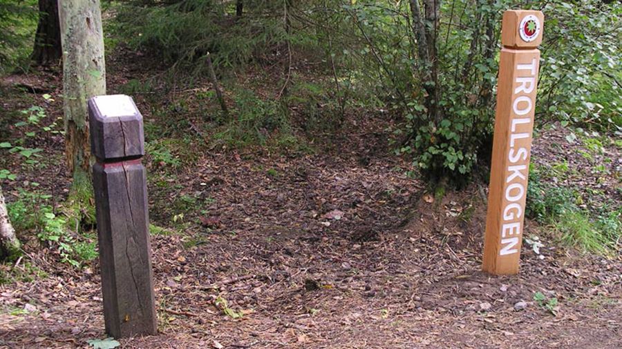 Smultronpollare i Trollskogen